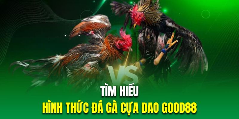 Tổng quan về loại hình đá gà cựa dao kịch tính