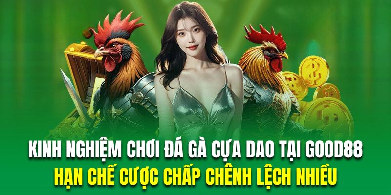 Người chơi không nên vào tiền kèo đá gà quá chênh lệch