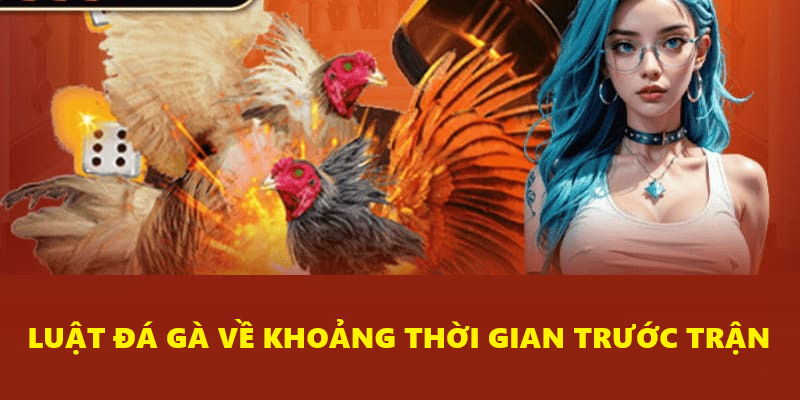 Khoảng thời gian trước mỗi trận đấu chiến kê