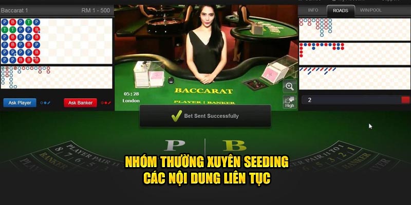 Nhóm thường xuyên seeding các nội dung liên tục