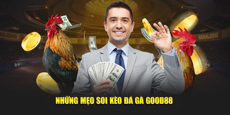 Những mẹo soi kèo đá gà GOOD88 