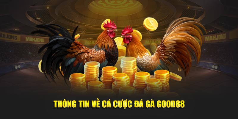 Thông tin về cá cược đá gà Good88