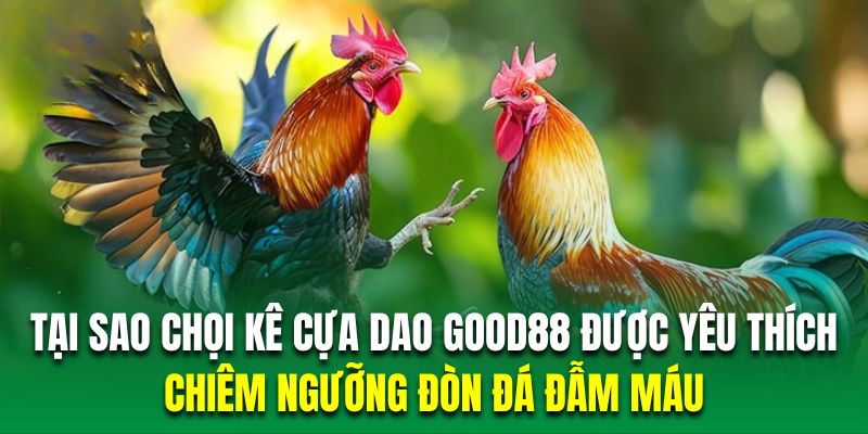 Chọi kê cựa dao mang đến những pha ra đòn đẫm máu nhất