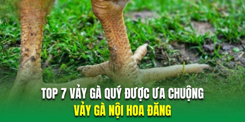 Chiến kê sở hữu nội hoa đăng chắc chắn sẽ tung cược rất hiểm