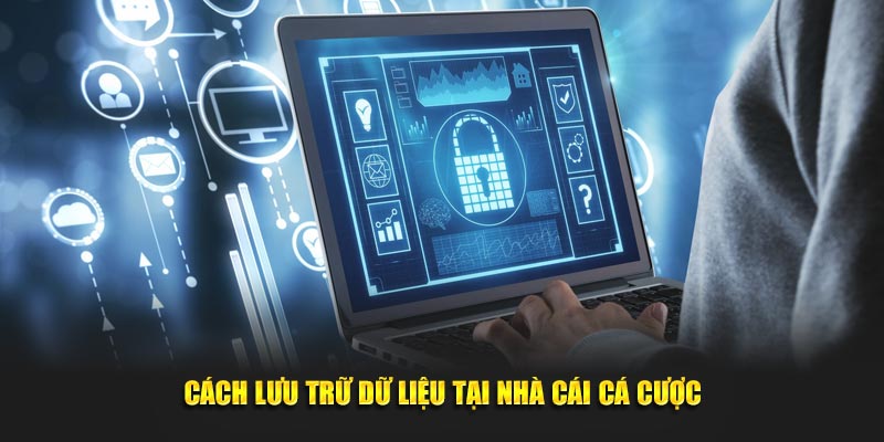 Cách lưu trữ dữ liệu tại nhà cái cá cược